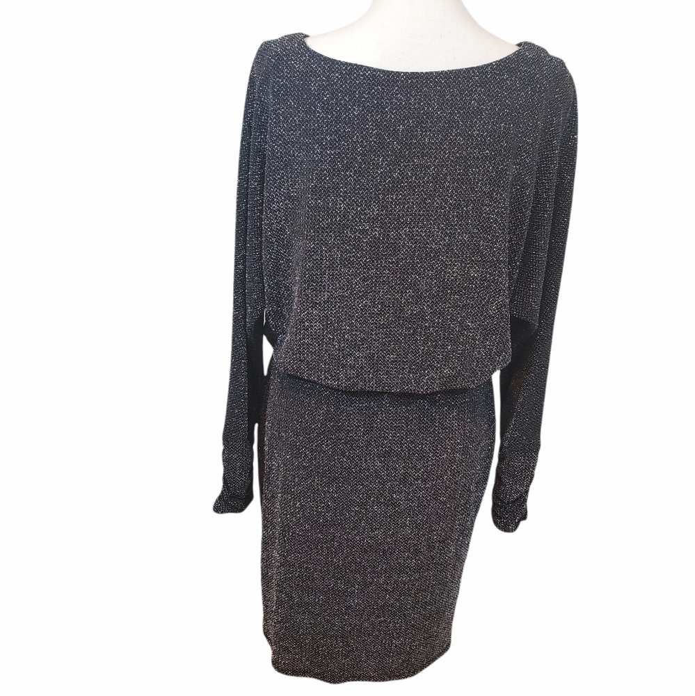 Jessica Howard Fancy Sparkly Size 6 Cinched Waist Long Sleeve Lined Dress Party